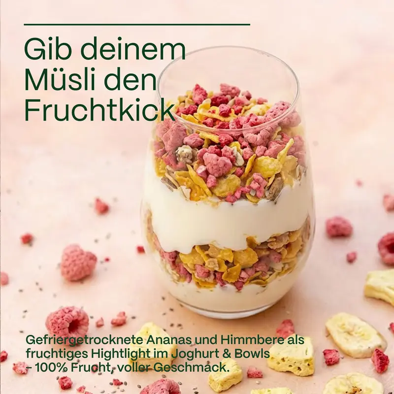 Ananas Chunks gefriergetrocknet · knusprige Vollfrucht ohne Zuckerzusatz · gefriergetrocknete Früchte · Freeze-dried pineapple chunks - GreatVita - Image 4